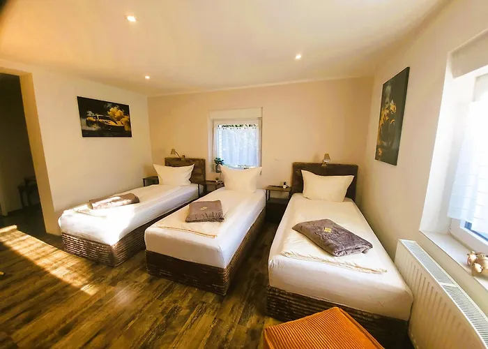 Cjs - Chill Or Drive Am Nuerburgring, New Box Spring Beds, New Furniture, Wlan, Spacious Rooms, Quiet Location Aparthotel